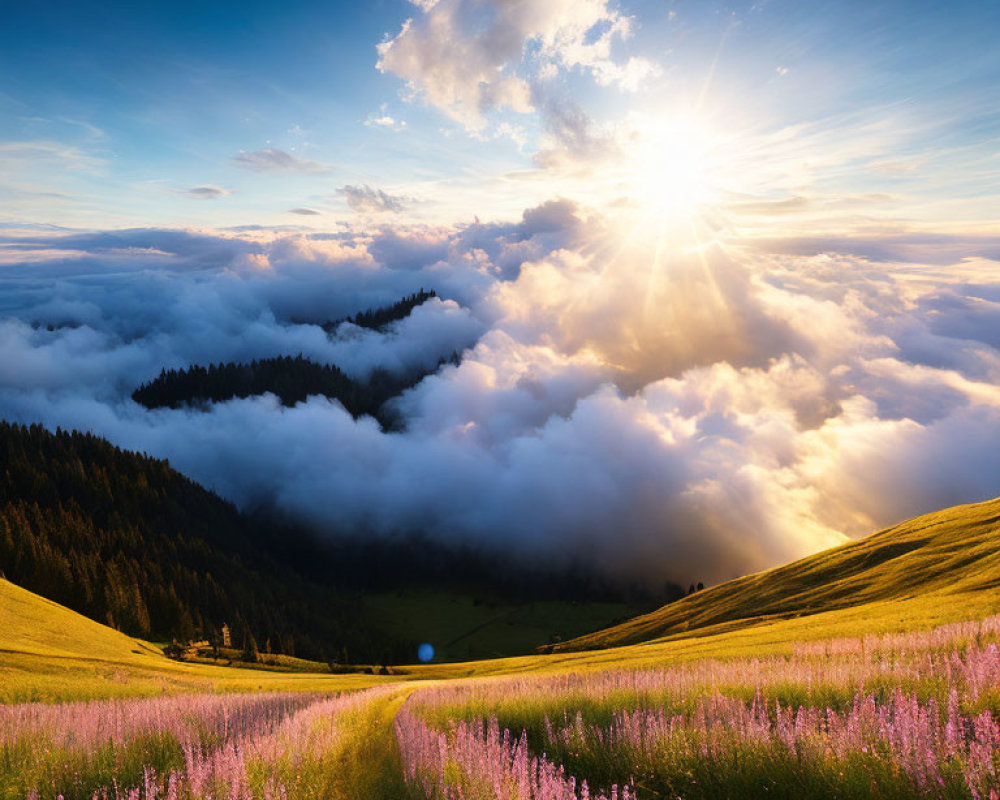 Vibrant sunrise over purple flower-covered hills and cloudy valley