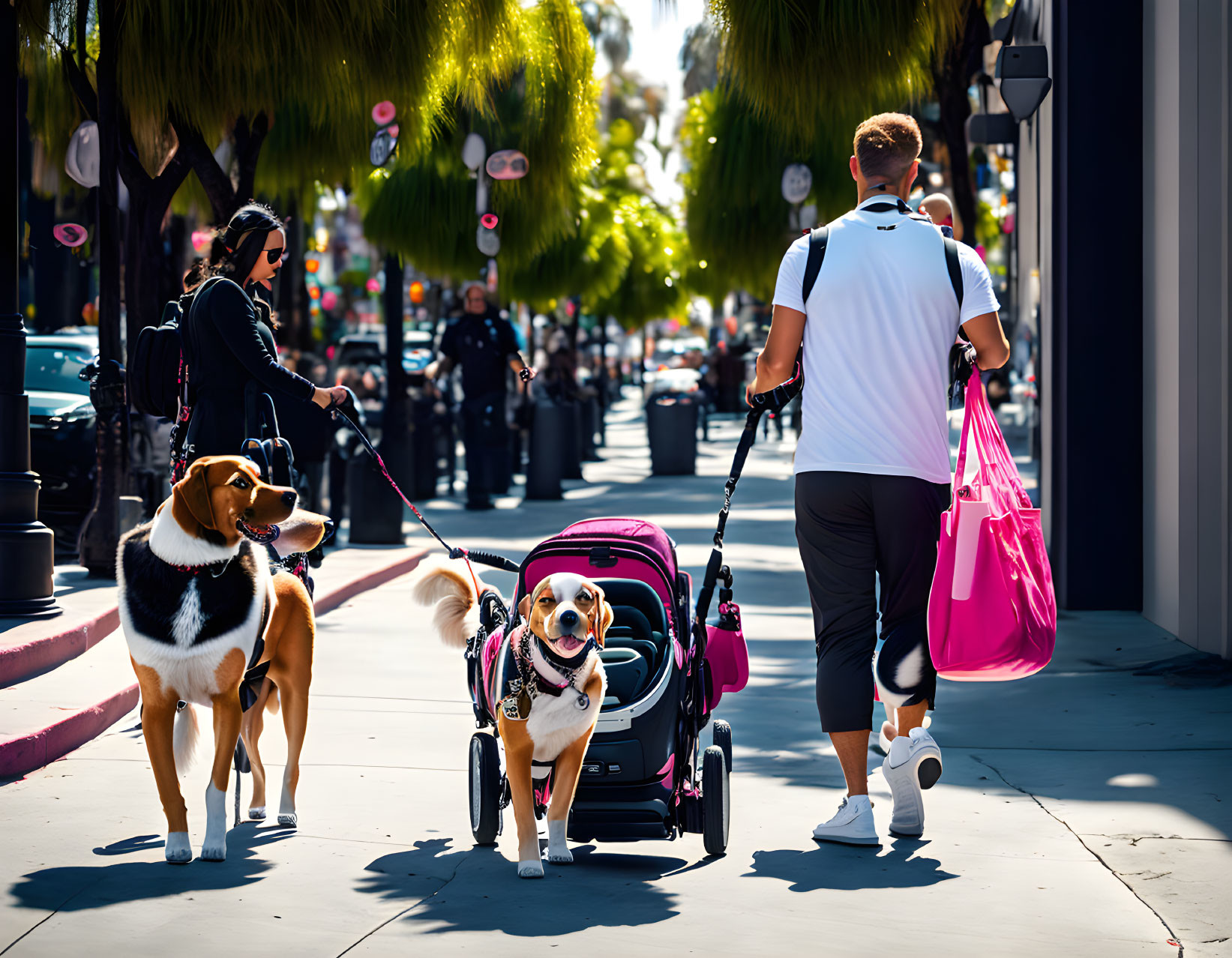  Dog Shopping With A Stroller, Hollywood 