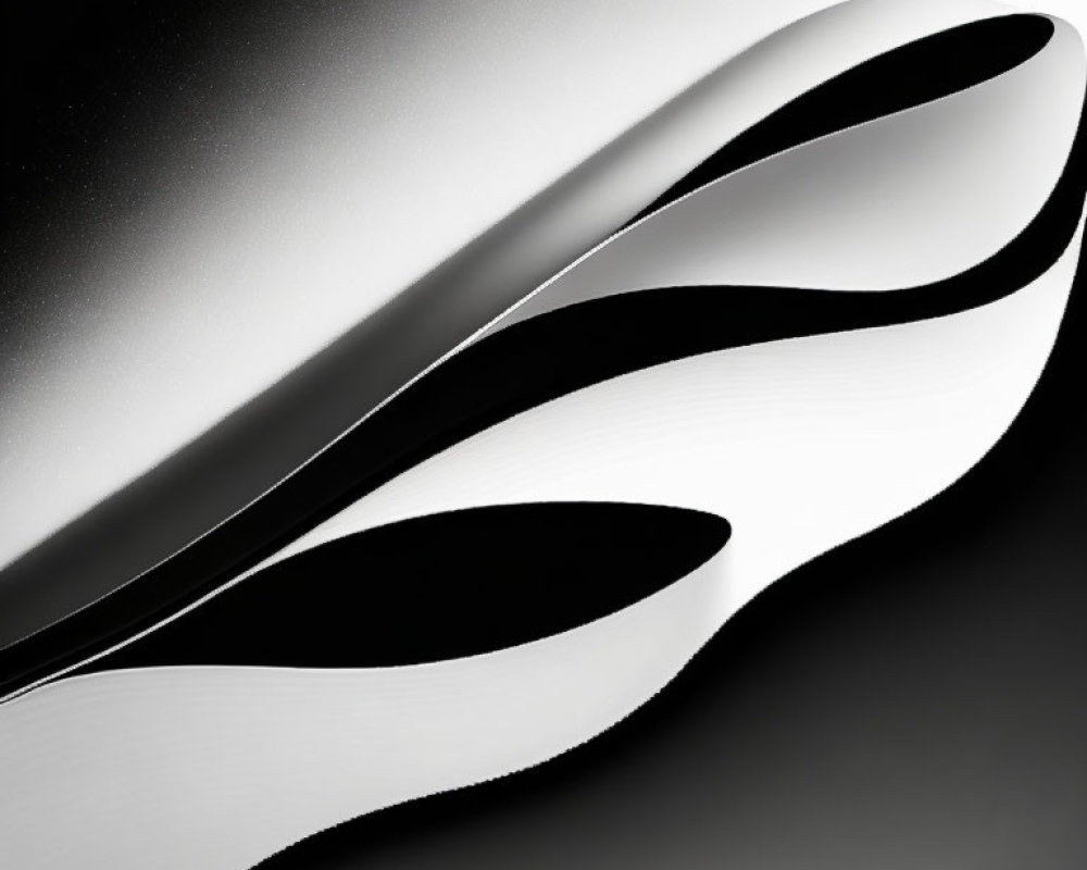 Abstract Monochrome Image: Flowing Curves, Metallic Reflections
