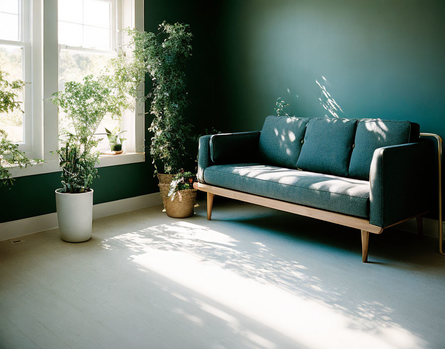 Minimalist Living Room with Dark Teal Wall, Modern Blue Couch, Sunlight, and Green Plants