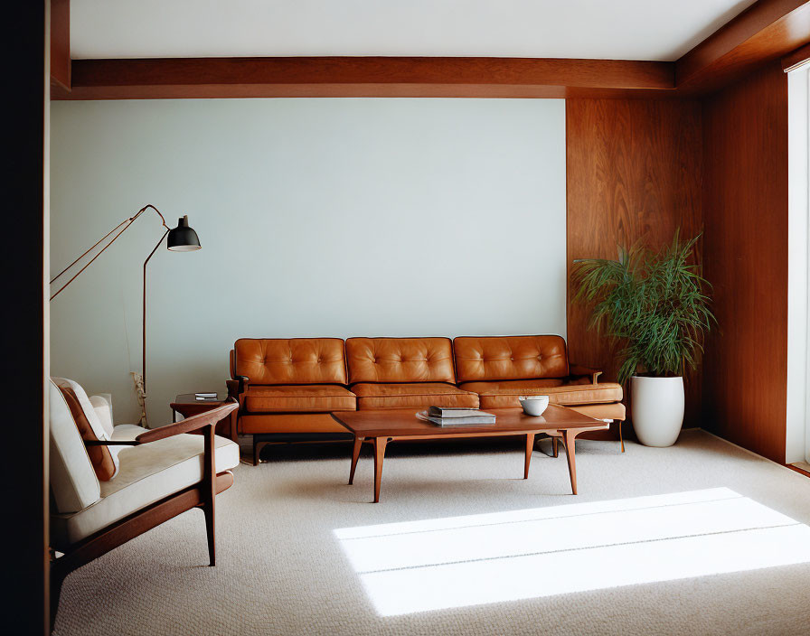 Beige carpet, leather couch, wooden furniture, white walls, potted plant in minimalist living room