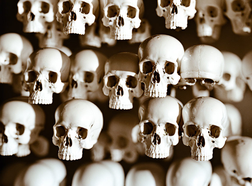 Arrangement of small human skull replicas with shallow depth of field