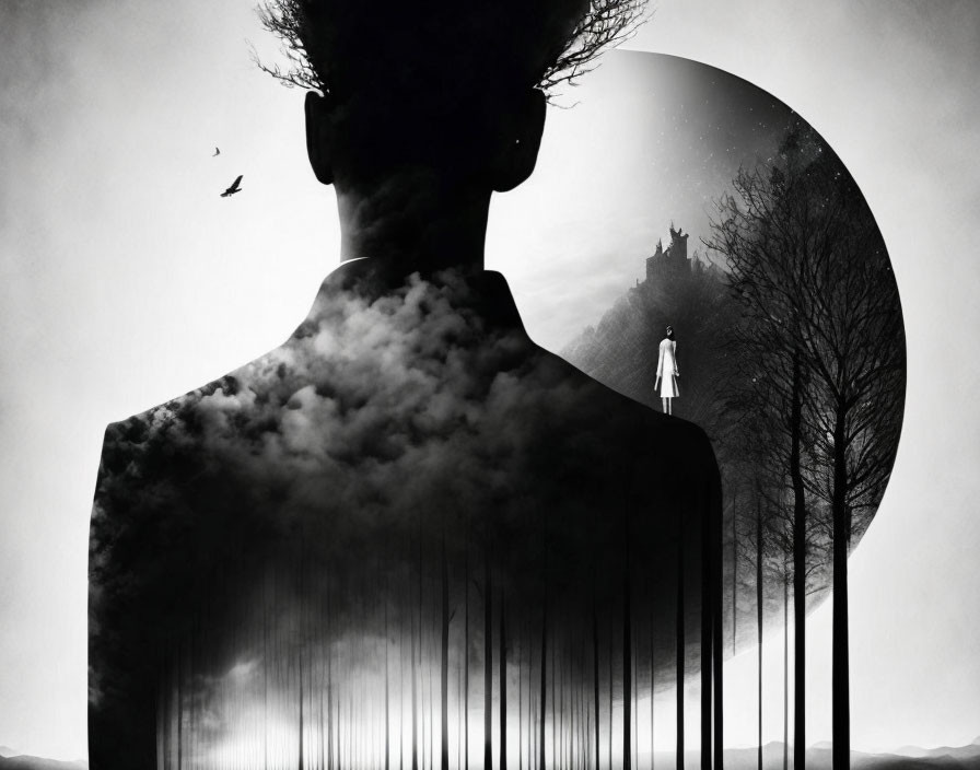 Person's silhouette against surreal landscape with trees, mist, castle, and solitary figure.