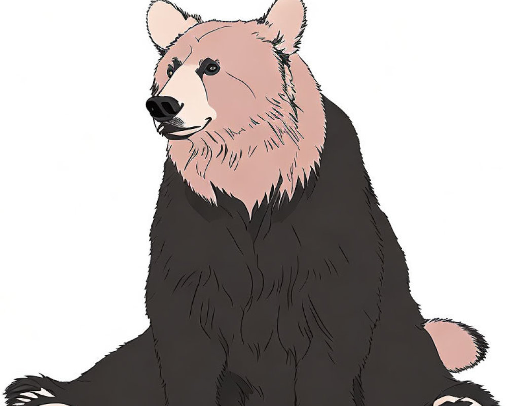 Detailed Seated Bear Illustration with Black and Light Brown Fur