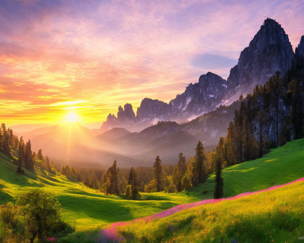 Scenic sunrise over colorful meadow and mountains