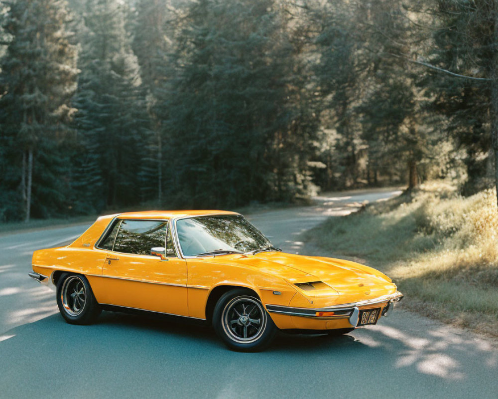 Vintage Yellow Car Parked on Asphalt Road in Serene Forest Setting