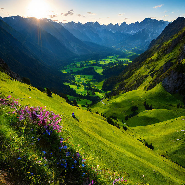 Scenic sunset over green valley with flowers, mountains, and figure