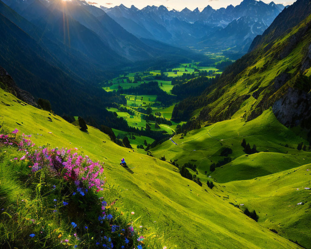 Scenic sunset over green valley with flowers, mountains, and figure