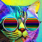 Colorful Abstract Cat Face Artwork with Psychedelic Design