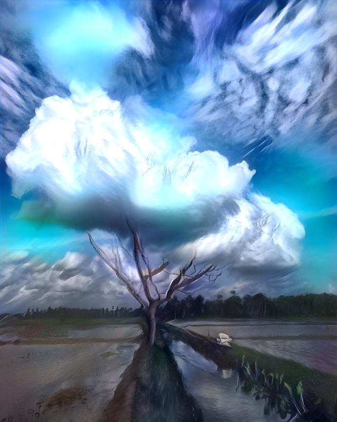 Sky Tree 