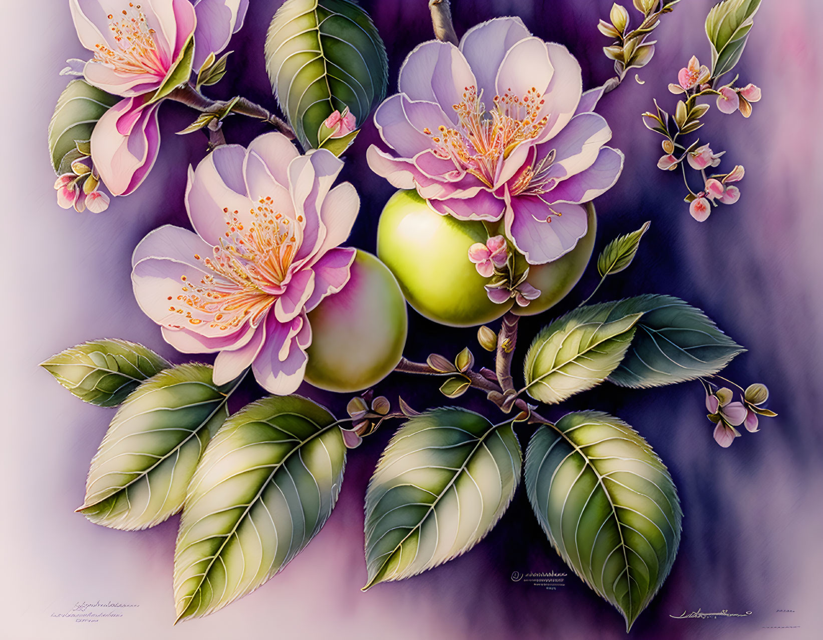 Detailed Illustration of Apple Blossoms, Green Apple, and Vibrant Leaves on Soft Purple Background