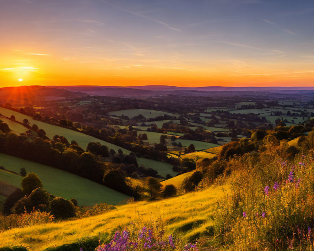 Vibrant sunset over rolling landscape with trees and wildflowers