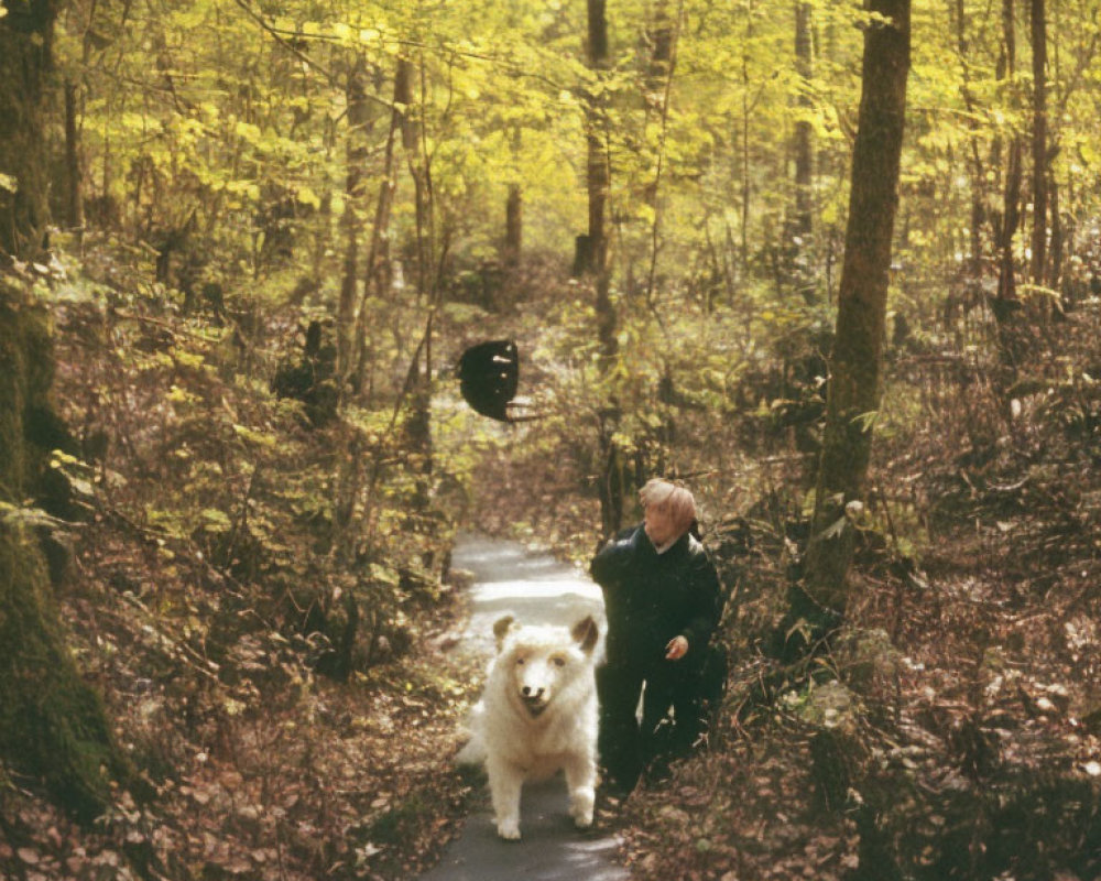 Person in dark attire squatting on forest path with large white dog amidst vibrant green foliage