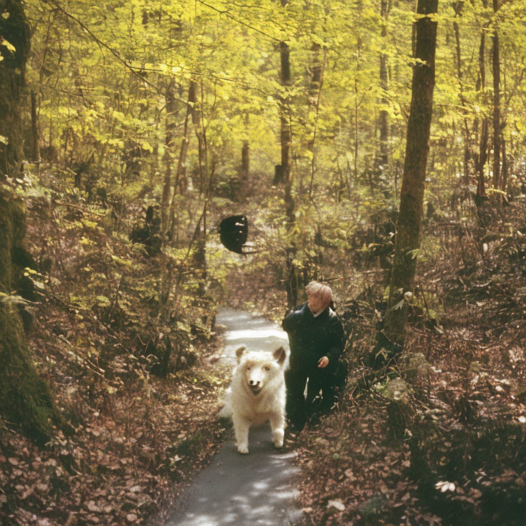 Person in dark attire squatting on forest path with large white dog amidst vibrant green foliage