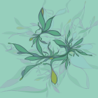 Stylized teal and white botanical digital art on soft green background