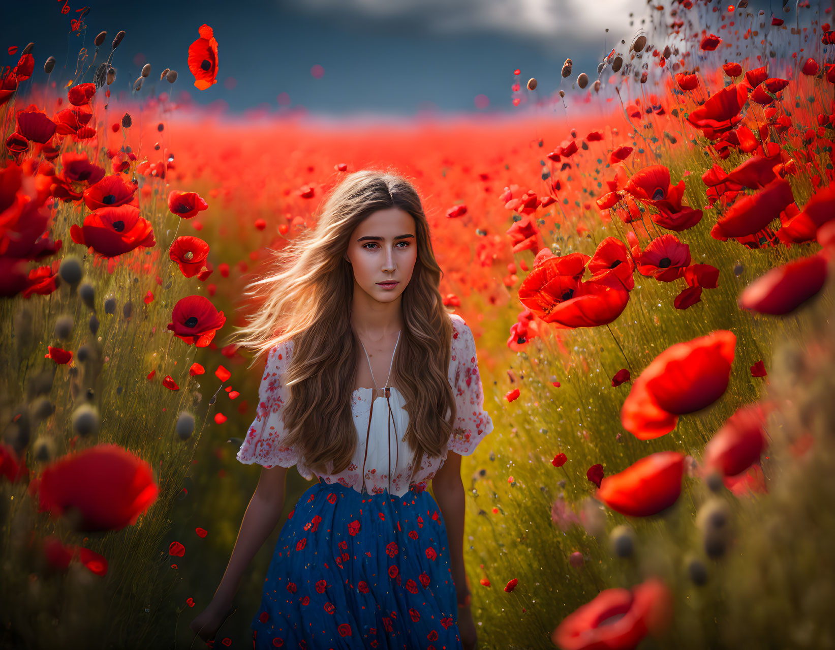 The girl in the poppy field