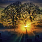 Serene cemetery at sunrise with backlit tombstones and silhouetted trees