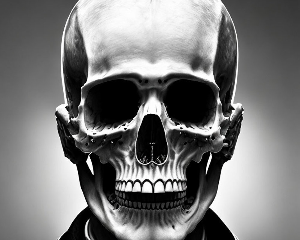 Monochrome human skull overlay on person's head against grey backdrop