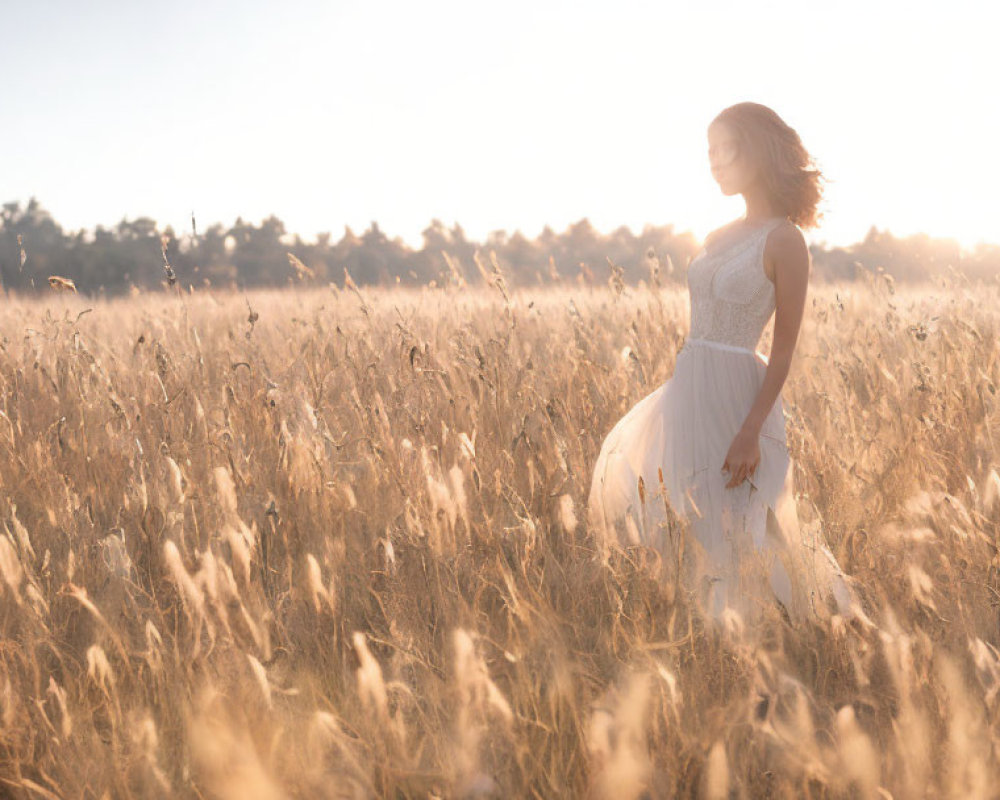 Woman in White Dress Standing in Sunlit Field of Tall Grass