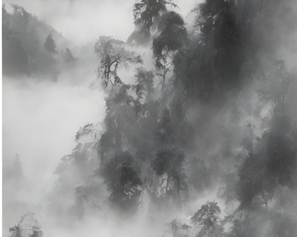 Misty forest with fog-covered trees and distant temple