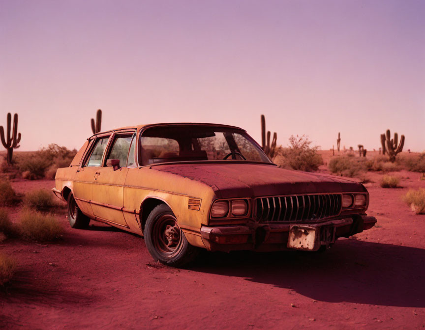 Abandoned yellow car in desert with cacti at dusk