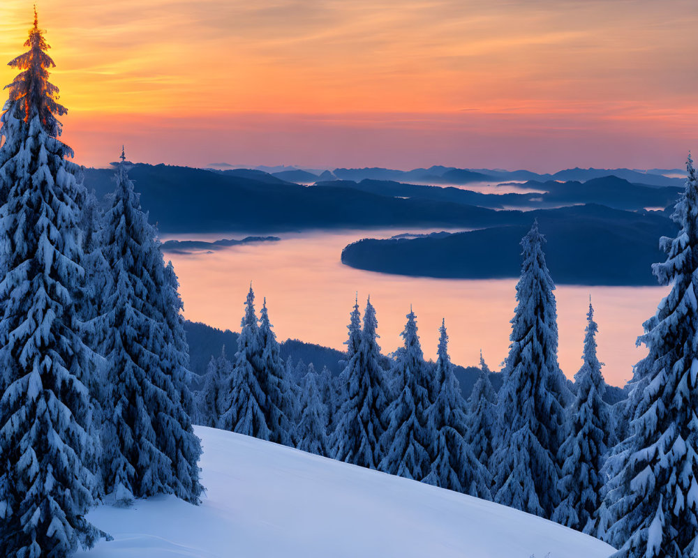Scenic sunset view of snow-covered trees and mountains by a lake