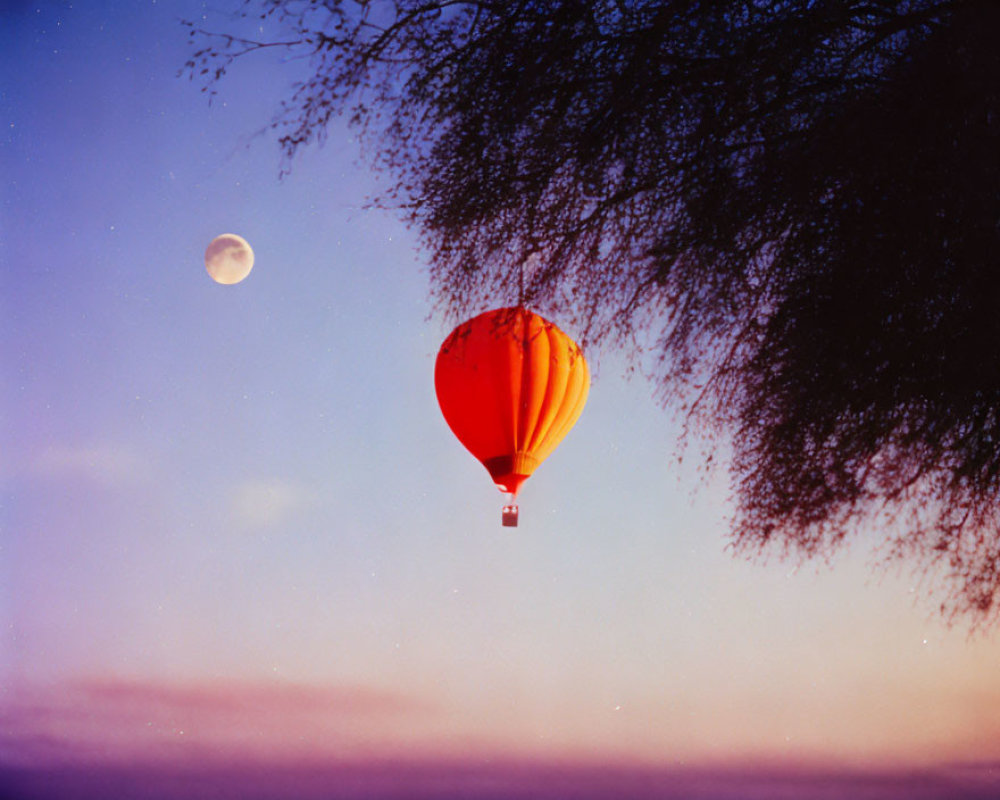 Hot Air Balloon Floats in Twilight Sky with Moon and Tree Branches