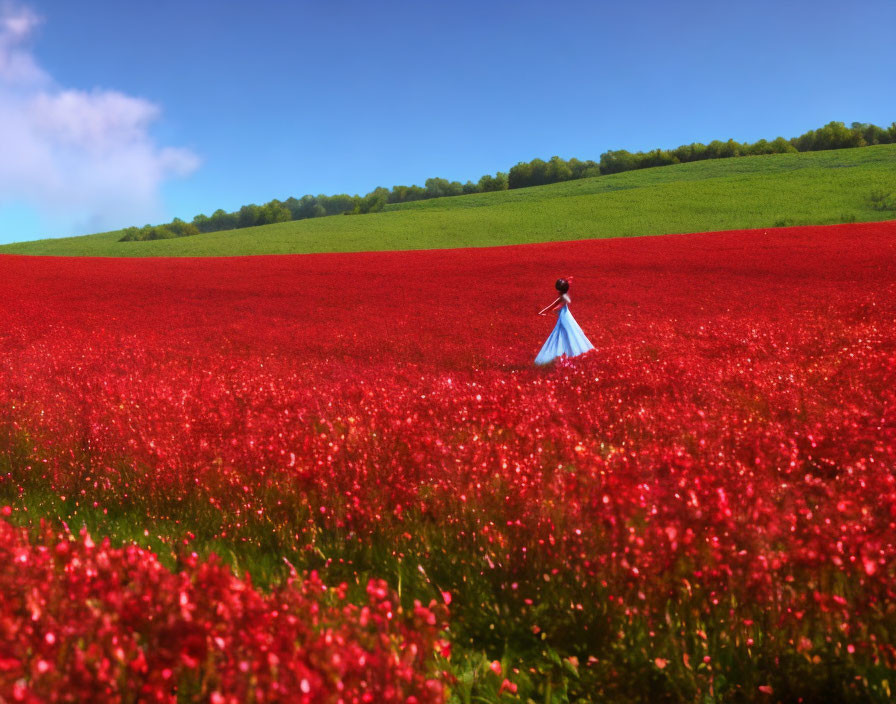 Woman dancing in the field of red flowers