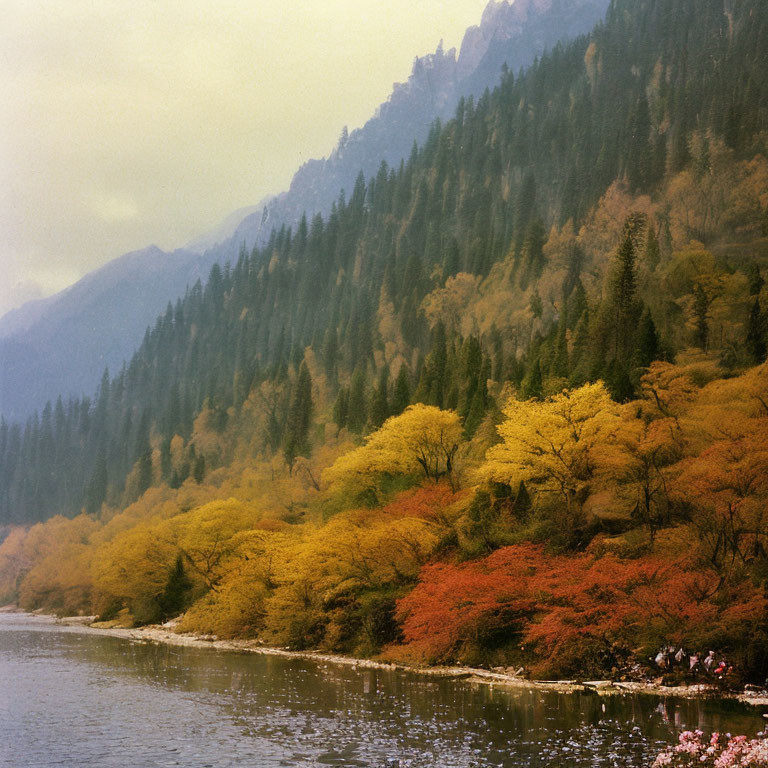 Tranquil river with autumn trees and misty mountains