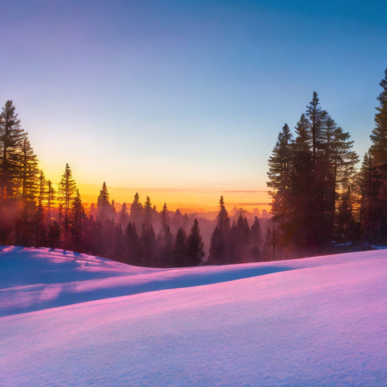 Vibrant sunset colors over snowy pine tree landscape