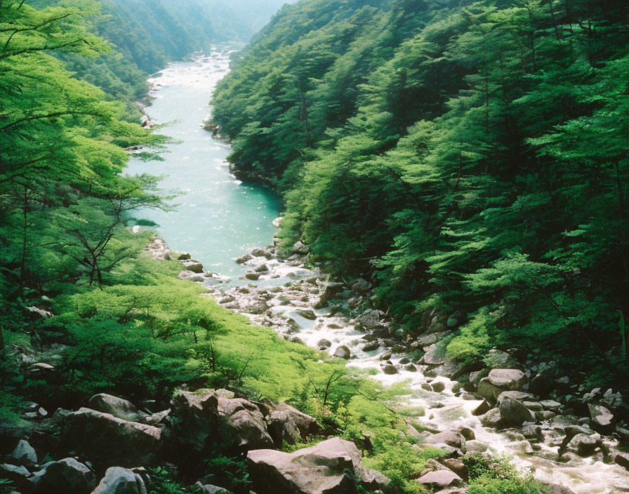 Tranquil River in Verdant Ravine with Green Trees and Boulders