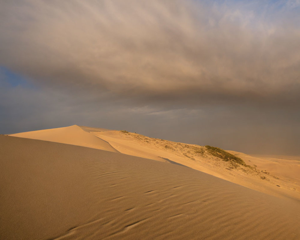 Serene desert landscape with golden sunlight and dramatic sky