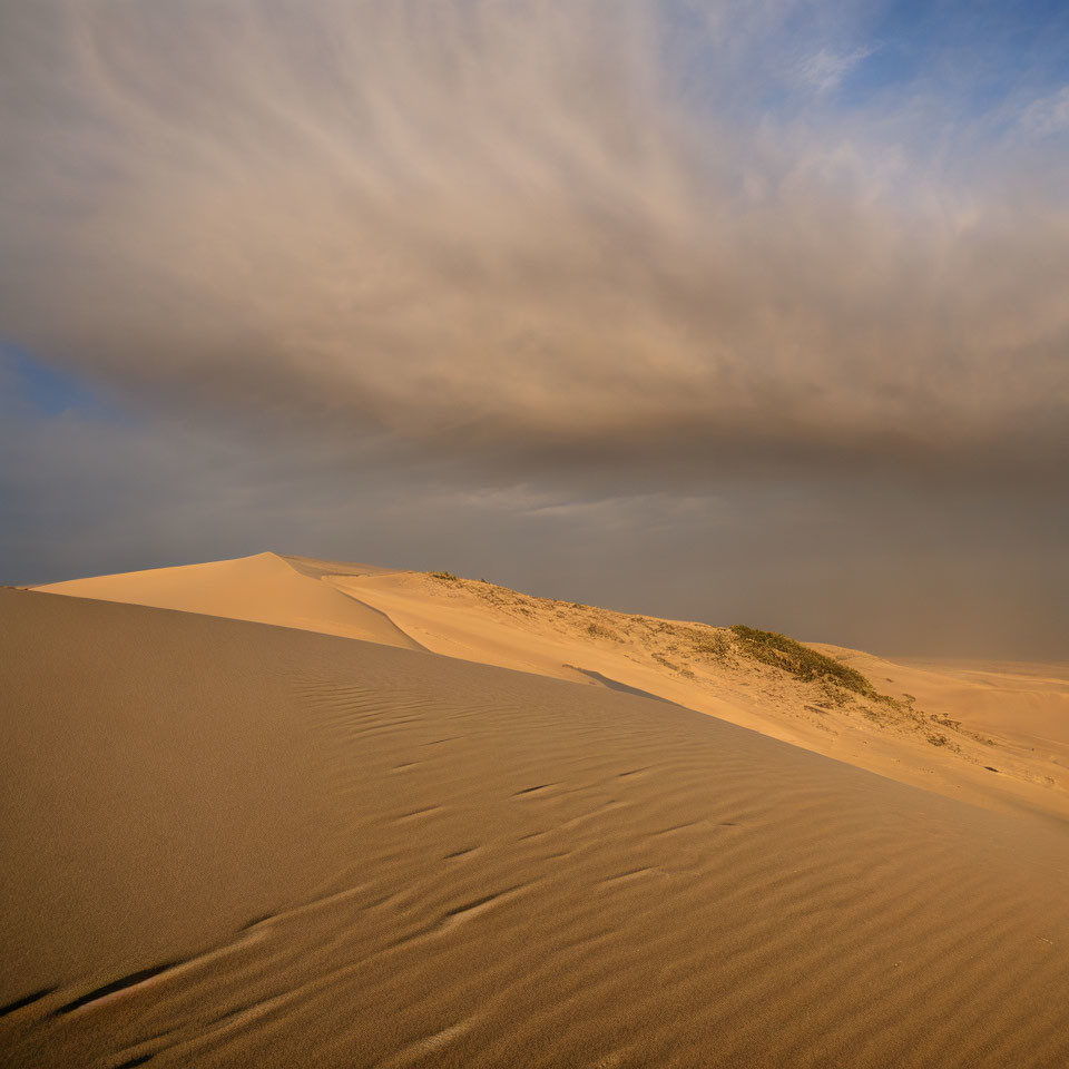 Serene desert landscape with golden sunlight and dramatic sky