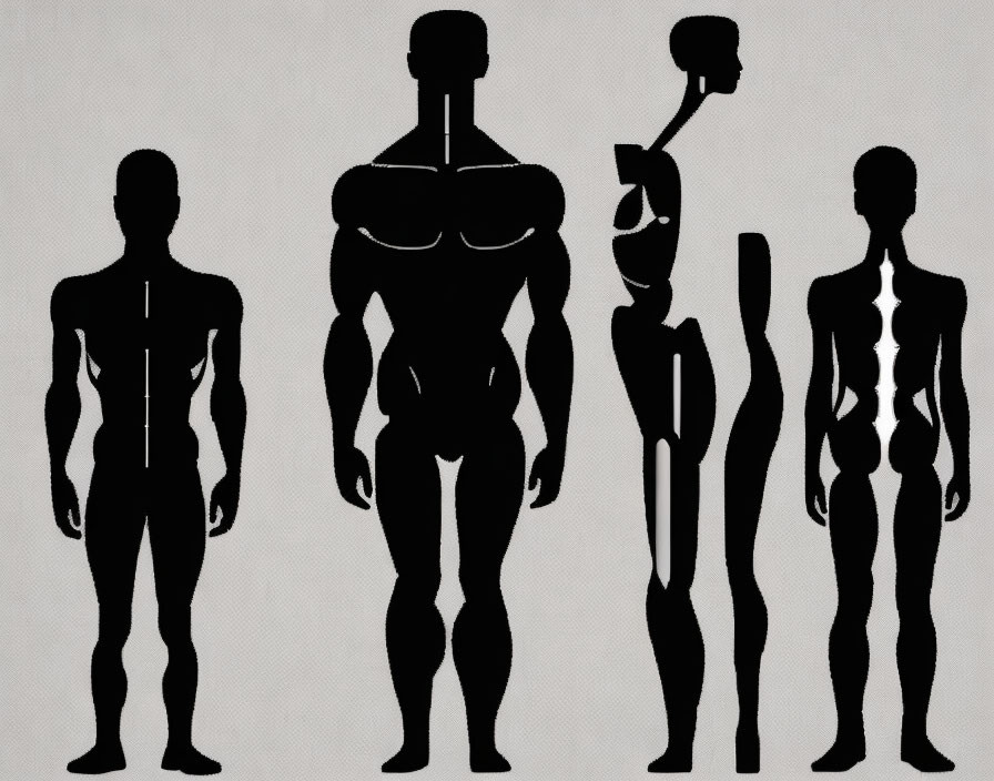 Variety of Human Silhouettes: Realistic to Stylized