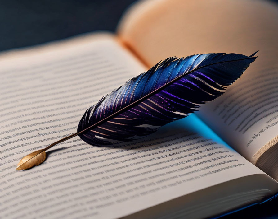 Blue and Purple Feather on Open Book Against Dark Background