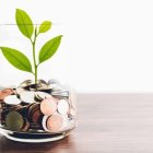 Green leaf plant in glass jar with coins symbolizes financial growth