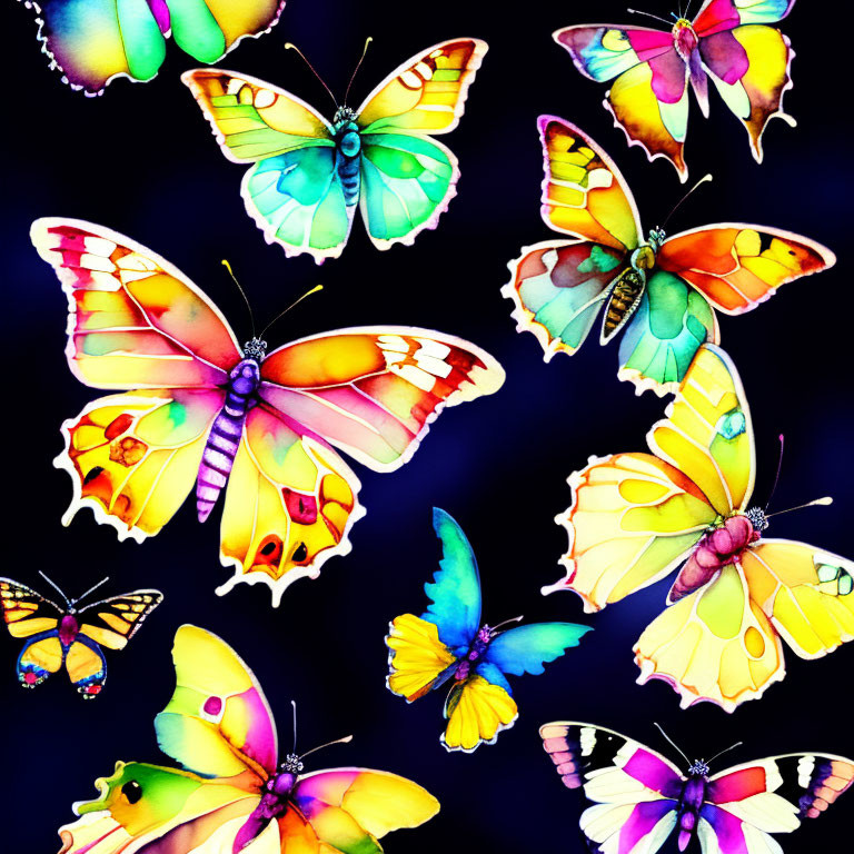 Colorful Watercolor Butterflies with Intricate Wing Patterns on Dark Background