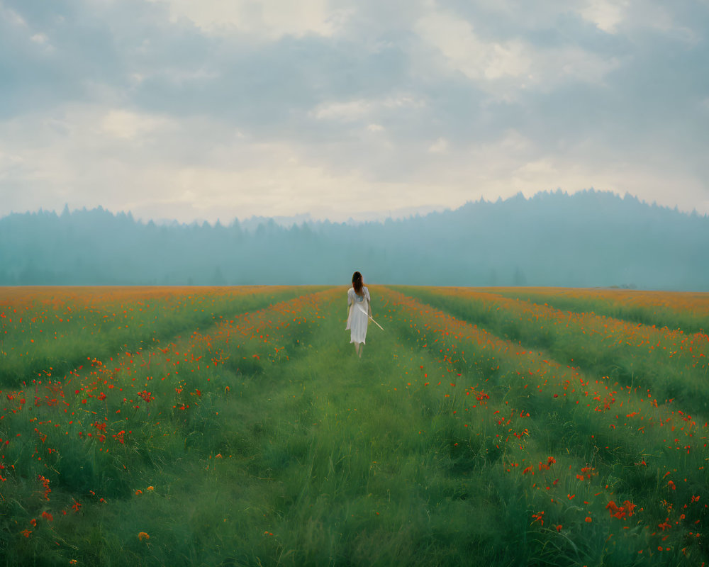 Woman in white dress strolling through serene field with misty forests in background