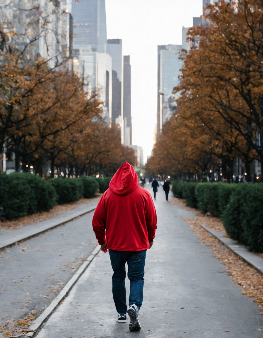 Person in Red Hoodie Walking Down Tree-Lined Path in Autumn Cityscape