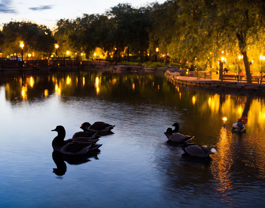 Tranquil pond scene with ducks at dusk and soft lamp reflections