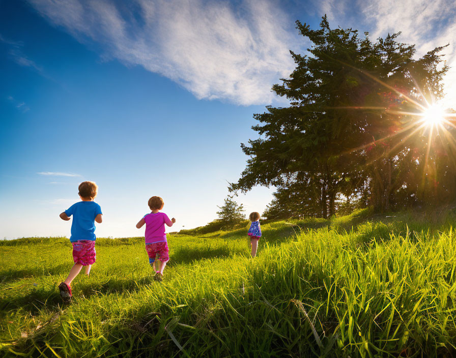 Children running in sunlit field towards large tree