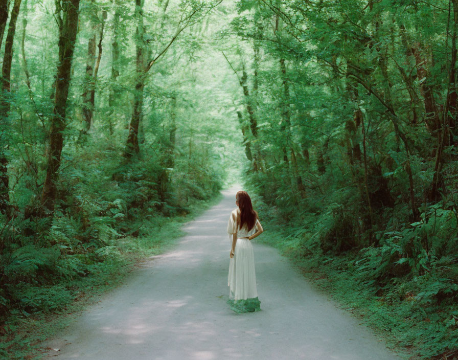 Woman in White Dress Contemplates Forest Path Amid Lush Green Trees