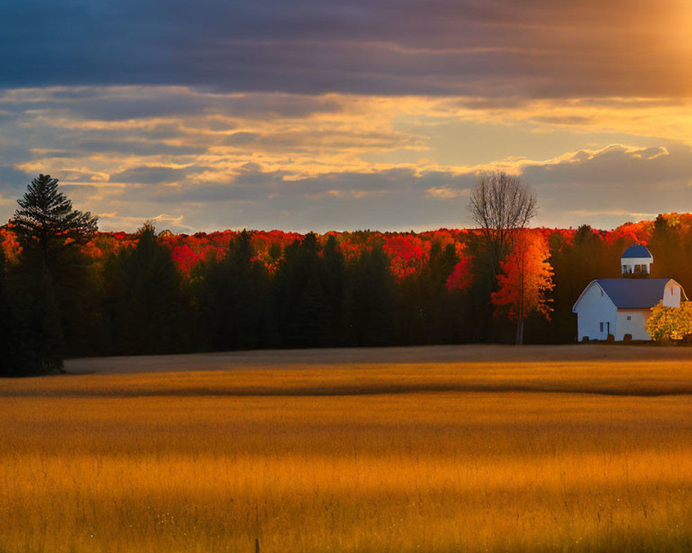 Vibrant autumn sunset over golden field with white house and trees