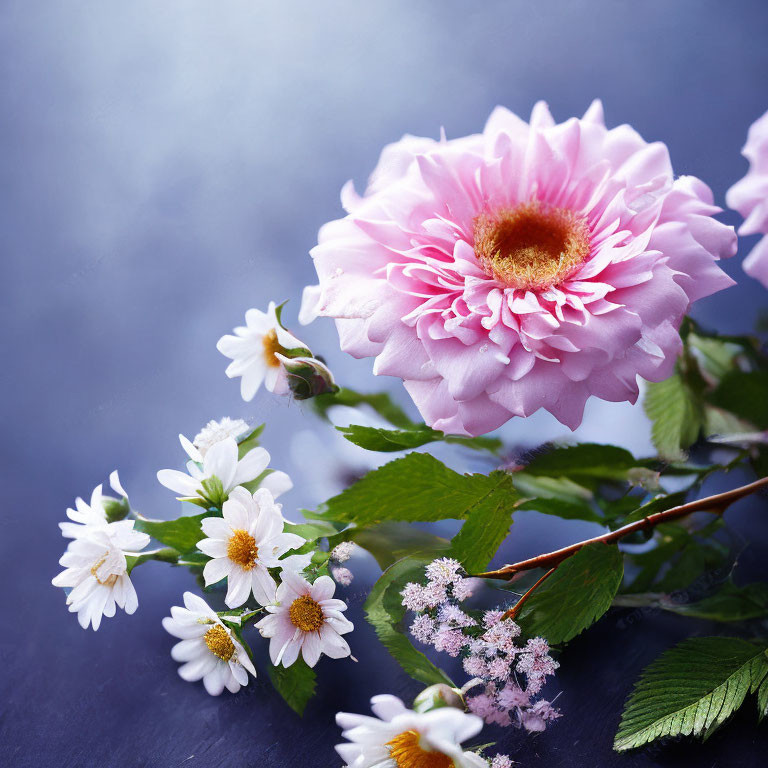 Pink peony, white daisies, and greenery on blue background