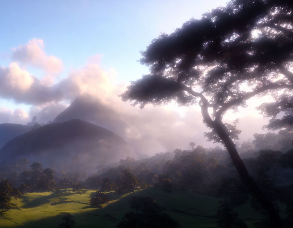 Sunlit misty mountain landscape with tree and rolling hills at sunrise