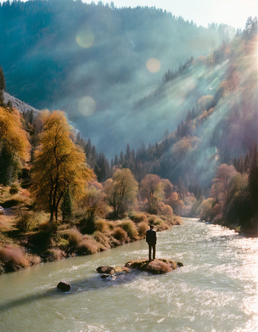Person standing on rock in river in serene forest landscape with autumn colors.