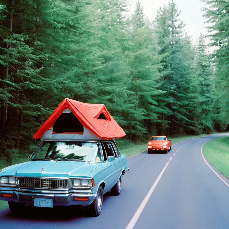 Blue Car with Red Rooftop Tent Drives on Forest Road