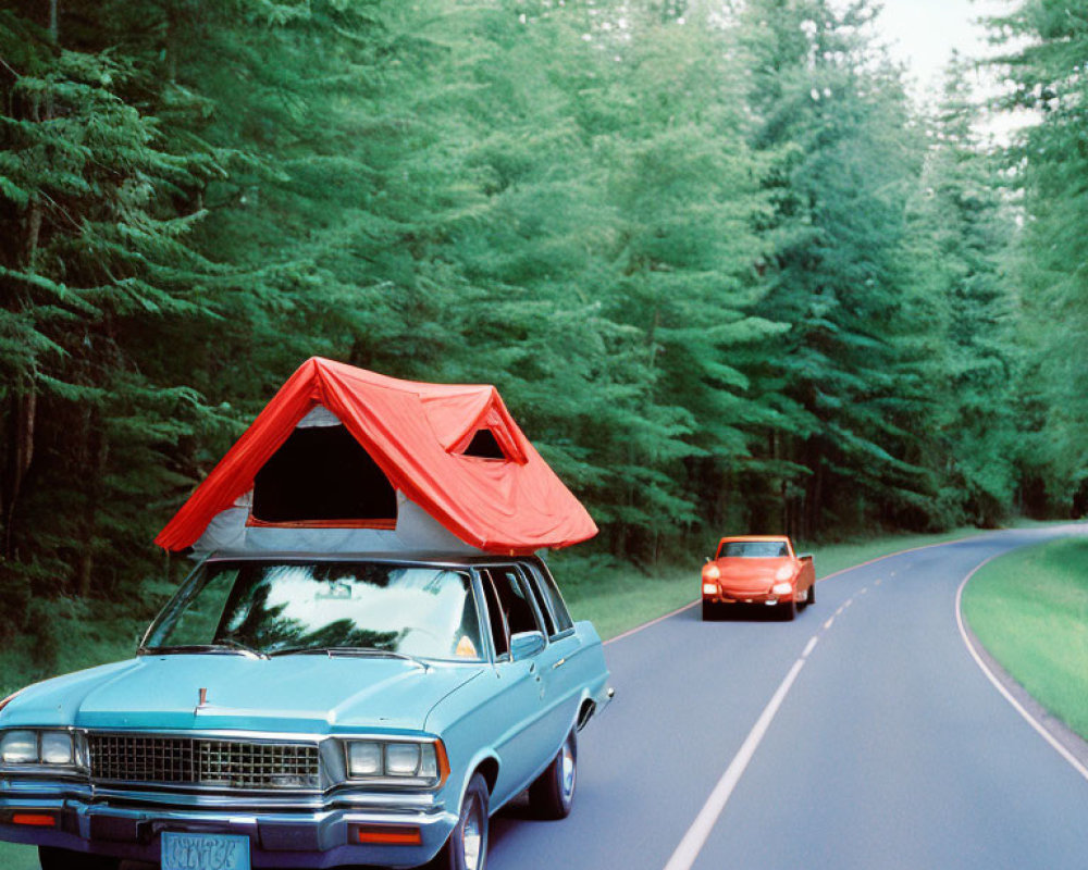 Blue Car with Red Rooftop Tent Drives on Forest Road