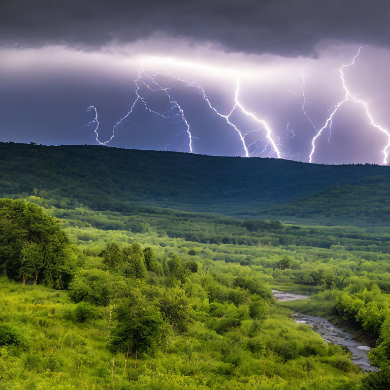 Multiple Lightning Strikes Over Green Forest Landscape Under Storm Clouds