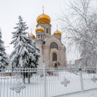 Winter scene: white church with golden domes in snowy landscape